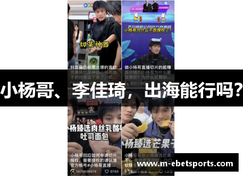 小杨哥、李佳琦,出海能行吗? 小杨哥、李佳琦,出海能行吗?